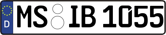 MS-IB1055