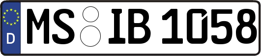 MS-IB1058
