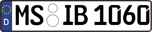 MS-IB1060