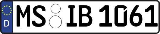 MS-IB1061