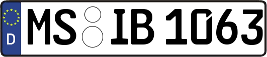 MS-IB1063