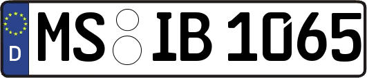 MS-IB1065