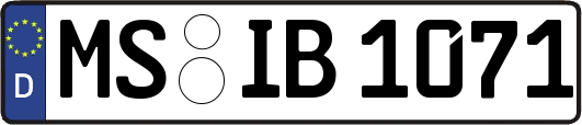 MS-IB1071
