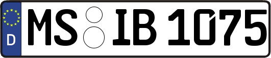 MS-IB1075