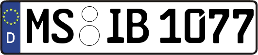 MS-IB1077
