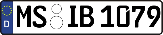 MS-IB1079