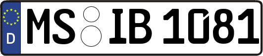 MS-IB1081