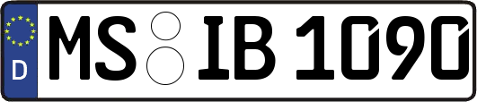 MS-IB1090