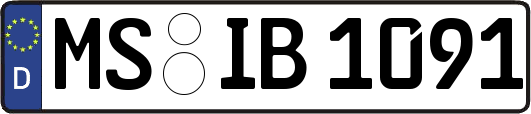 MS-IB1091