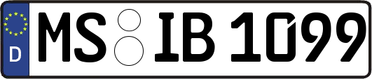 MS-IB1099