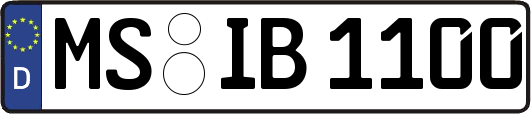 MS-IB1100