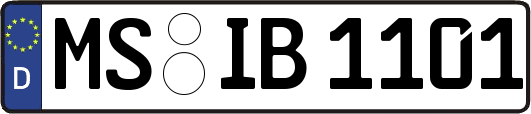 MS-IB1101