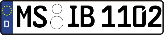 MS-IB1102