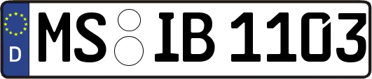 MS-IB1103