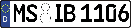 MS-IB1106