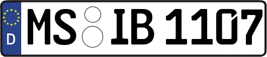 MS-IB1107