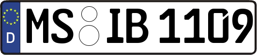 MS-IB1109