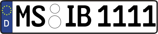 MS-IB1111
