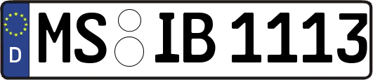 MS-IB1113