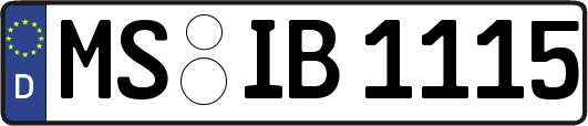 MS-IB1115