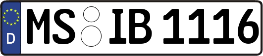 MS-IB1116