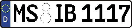 MS-IB1117