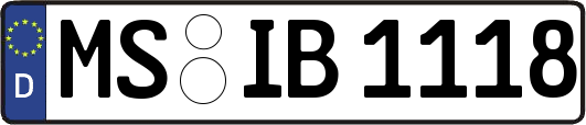 MS-IB1118