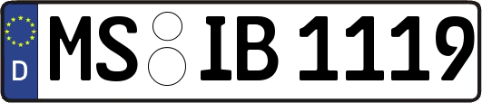 MS-IB1119