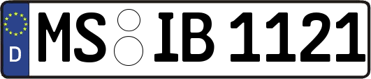 MS-IB1121
