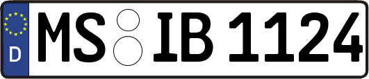 MS-IB1124