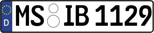 MS-IB1129