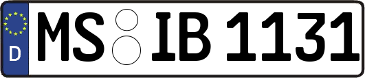 MS-IB1131