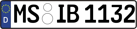 MS-IB1132