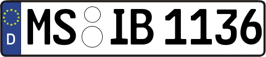MS-IB1136