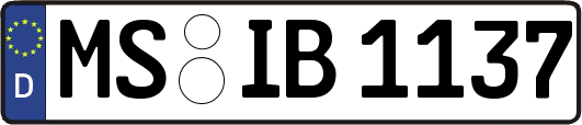MS-IB1137
