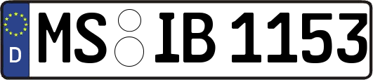 MS-IB1153
