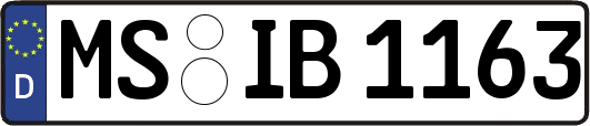 MS-IB1163