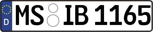 MS-IB1165