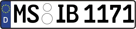 MS-IB1171