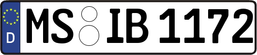 MS-IB1172
