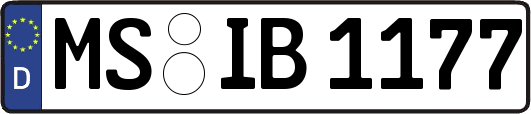 MS-IB1177