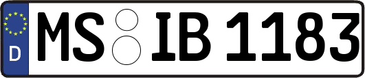 MS-IB1183