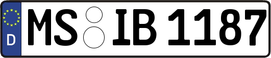 MS-IB1187