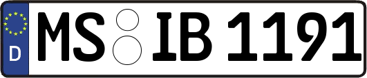 MS-IB1191