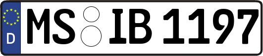 MS-IB1197