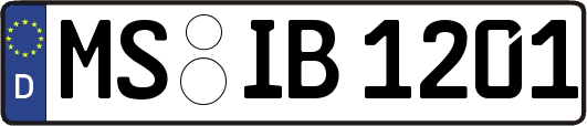 MS-IB1201