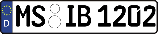 MS-IB1202