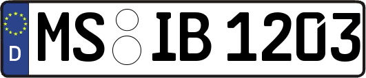 MS-IB1203