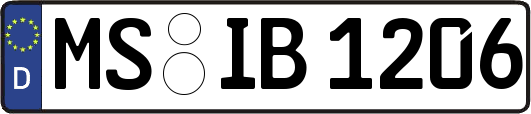MS-IB1206