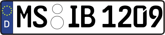 MS-IB1209